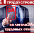 Легализация трудовых отношений - основа защиты трудовых прав работников. - Жуковский округ